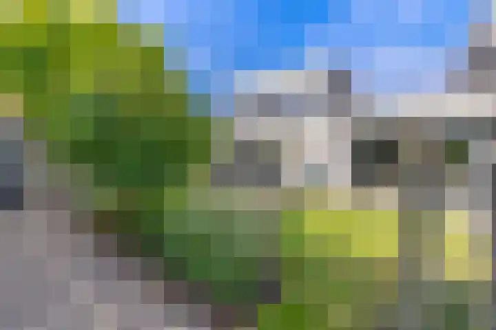 Groenendaal 4 Udenhout thumbnail 27