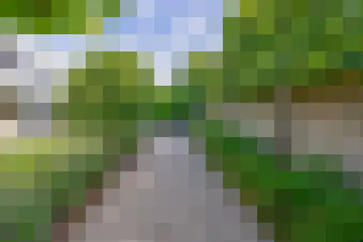Groenendaal 4 Udenhout thumbnail 31