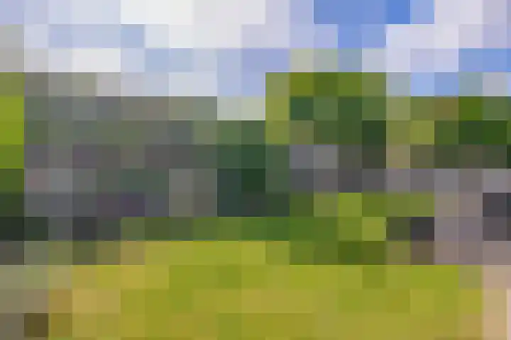 Groenendaal 4 Udenhout thumbnail 32