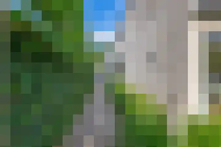 Groenendaal 4 Udenhout thumbnail 33