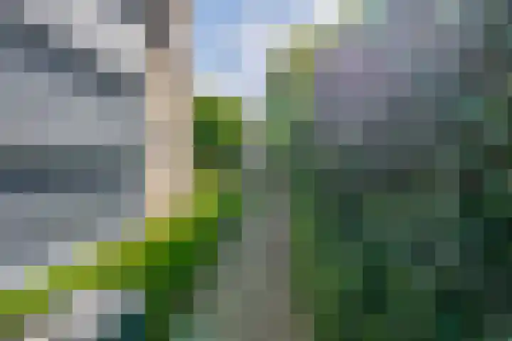 Groenendaal 4 Udenhout thumbnail 34
