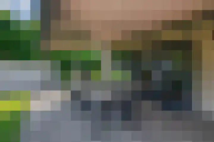 Groenendaal 4 Udenhout thumbnail 37
