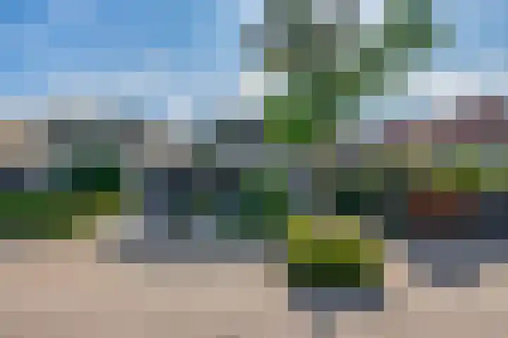 Groenendaal 4 Udenhout thumbnail 4