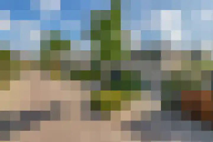 Groenendaal 4 Udenhout thumbnail 59