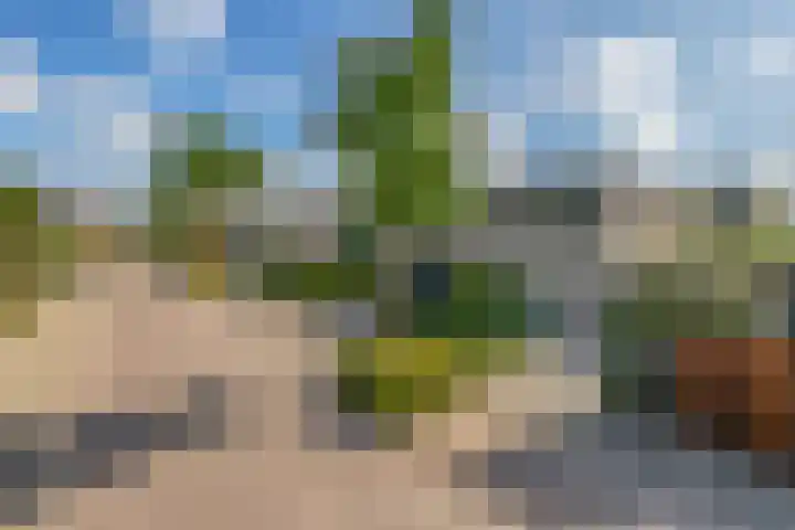 Groenendaal 4 Udenhout thumbnail 6