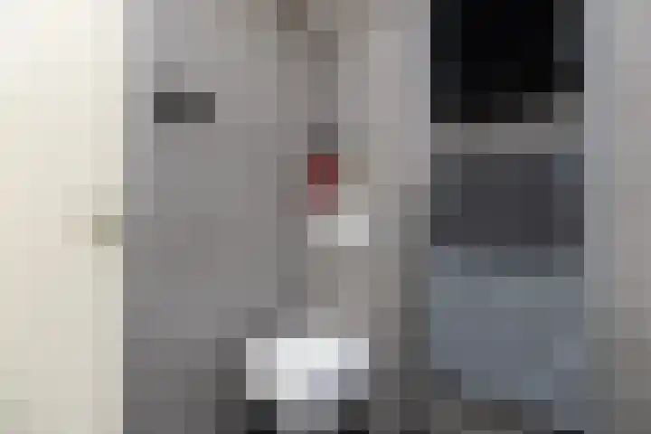Groenendaal 4 Zwijndrecht thumbnail 13