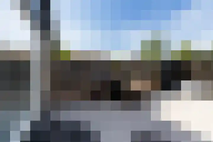 Groenendaal 4 Zwijndrecht thumbnail 23