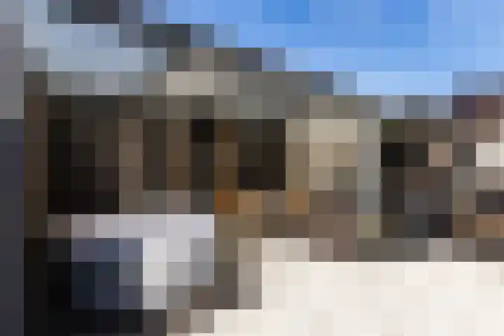 Groenendaal 4 Zwijndrecht thumbnail 25