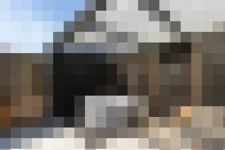 Groenendaal 4 Zwijndrecht thumbnail 26