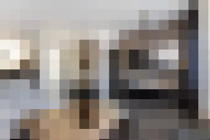 Groenendaal 4 Zwijndrecht thumbnail 4