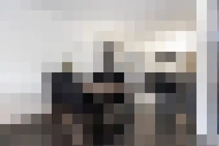 Groenendaal 4 Zwijndrecht thumbnail 7