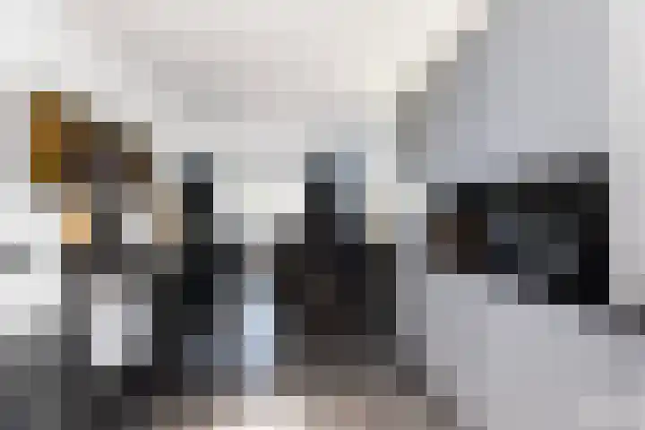 Groenendaal 4 Zwijndrecht thumbnail 8