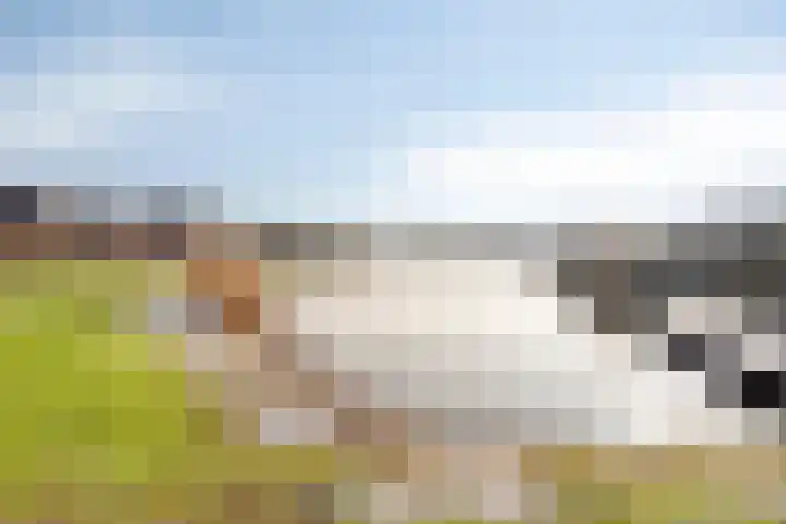 Groenendaal 58 Lelystad thumbnail 40