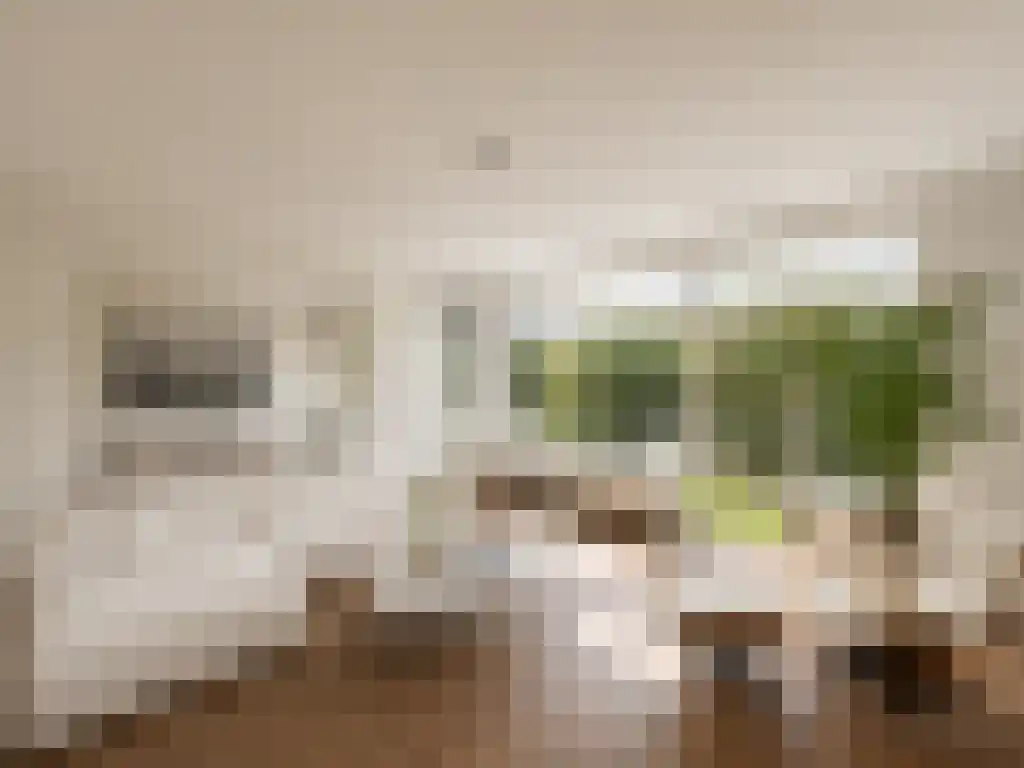 Groenendaal 99 Rotterdam thumbnail 4