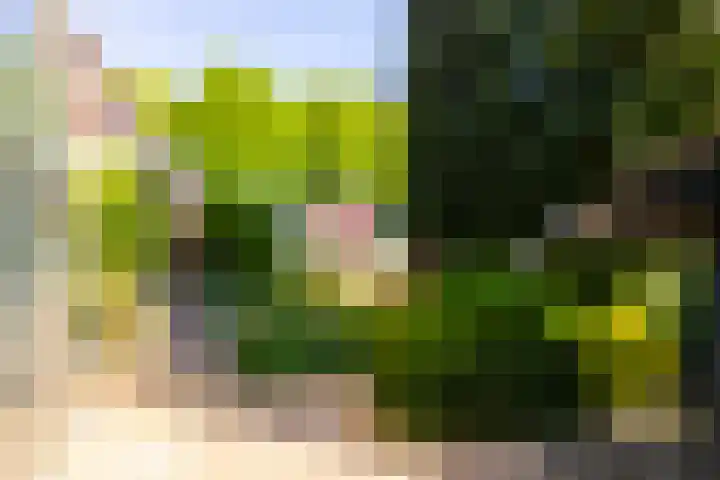 Groenendaalseweg 31 Loenen thumbnail 23