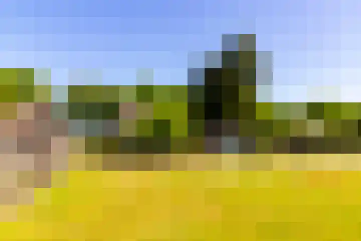 Groenendaalseweg 31 Loenen thumbnail 27