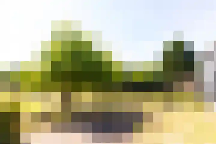 Groenendaalseweg 31 Loenen thumbnail 28