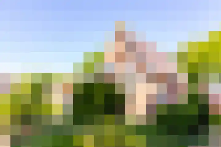 Groenendaalseweg 31 Loenen thumbnail 31