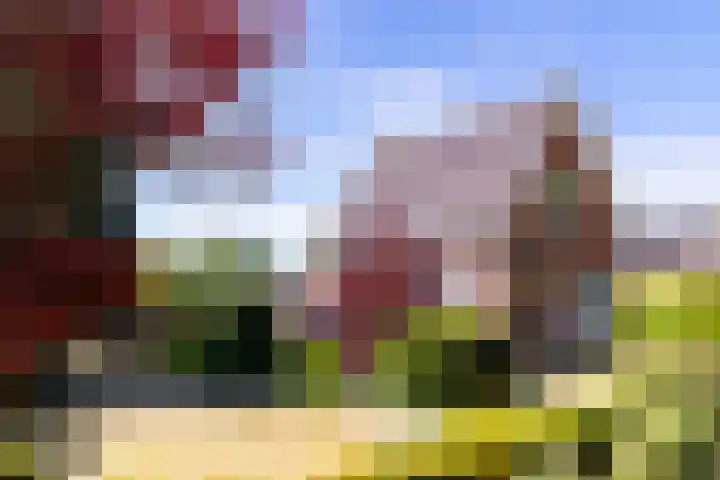 Groenendaalseweg 31 Loenen thumbnail 32