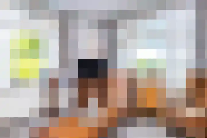 Groenendaalseweg 31 Loenen thumbnail 8