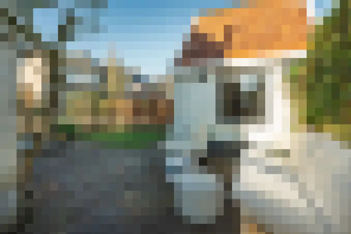 Groenendaalseweg 51 Renkum thumbnail 30