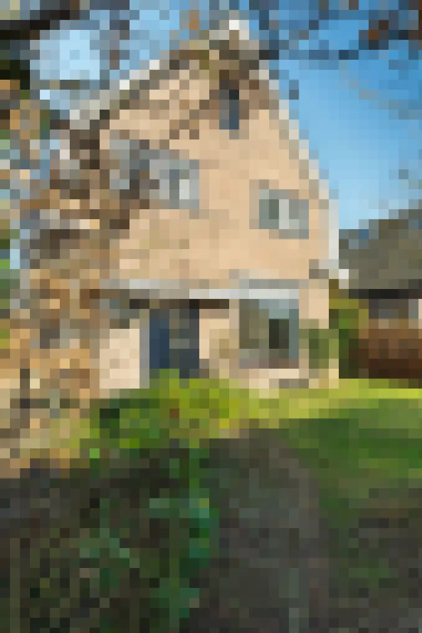 Groenendaalseweg 51 Renkum thumbnail 4