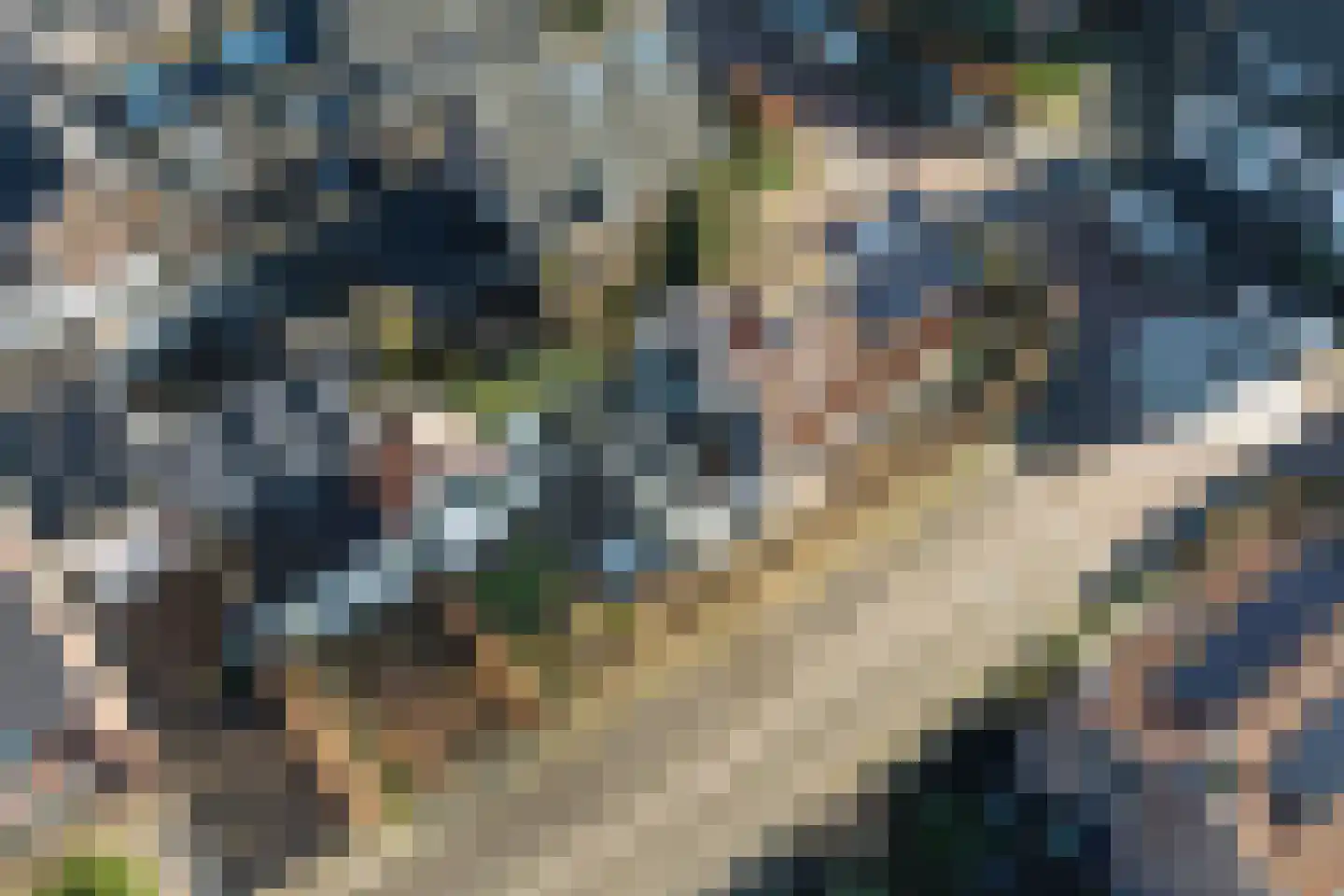 Groenendaalseweg 51 Renkum thumbnail 48