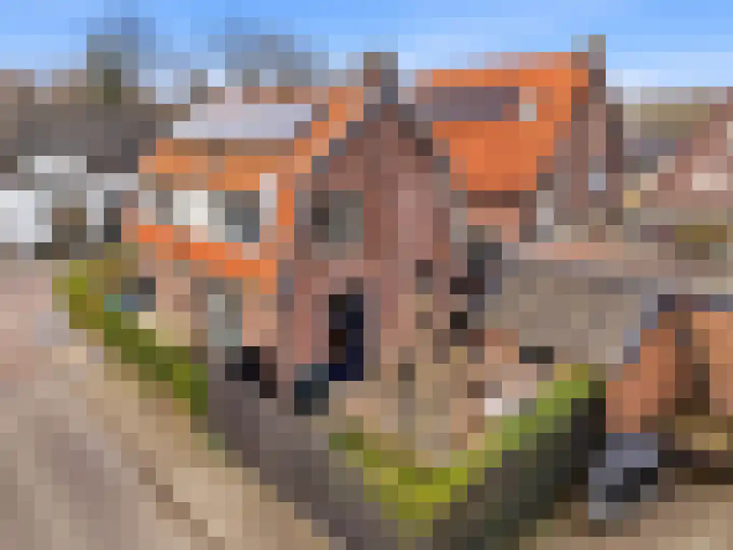 Groenendaalseweg 53 Renkum thumbnail 36