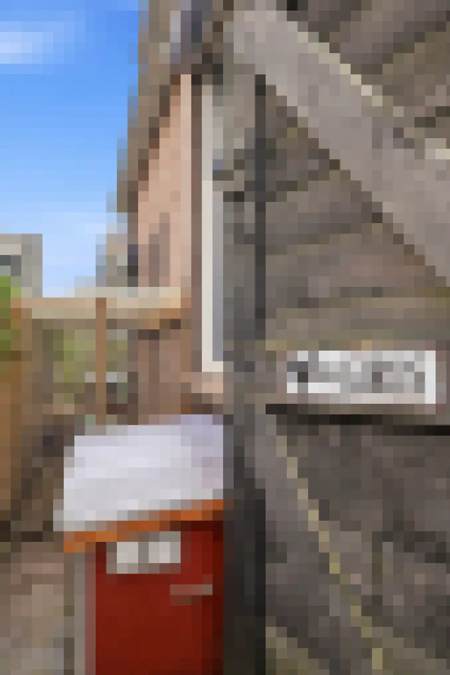 Groenendaalseweg 53 Renkum thumbnail 37