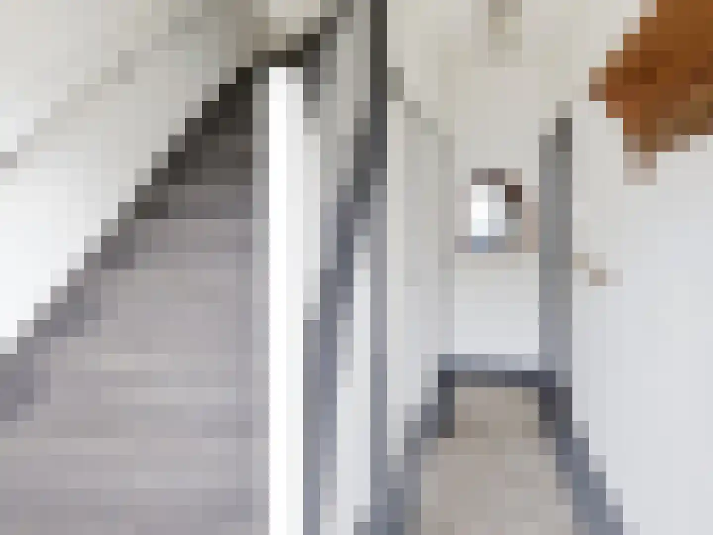 Groenendaalseweg 53 Renkum thumbnail 8