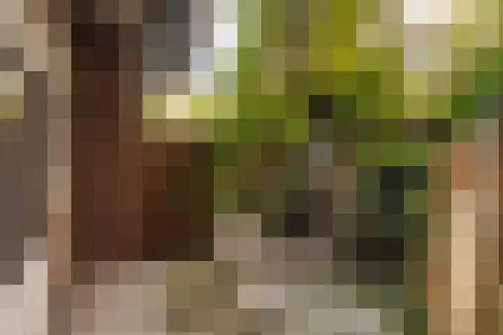 Groenendaalstraat 4 2 Amsterdam thumbnail 17