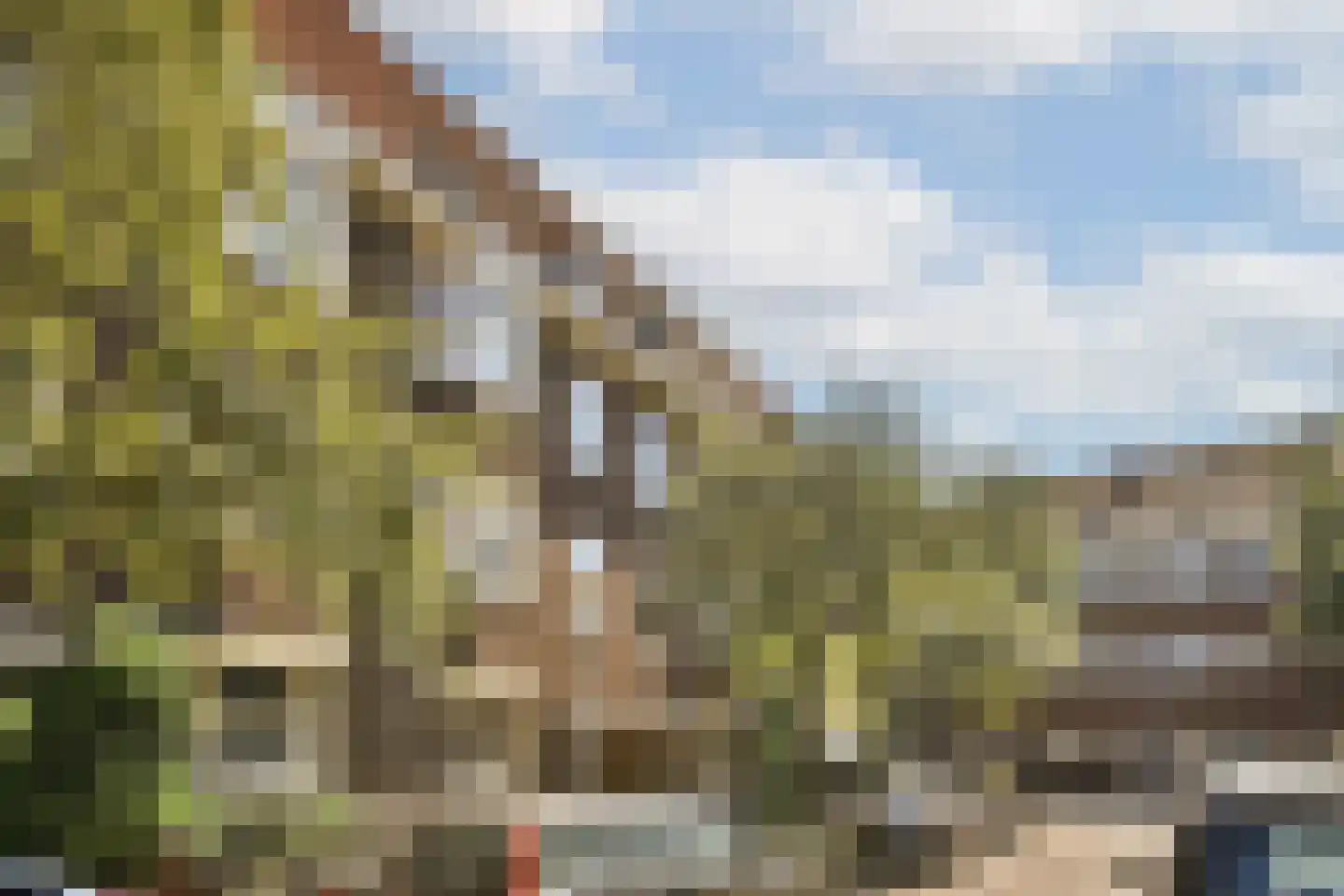 Groenendaalstraat 45 1 Amsterdam thumbnail 22