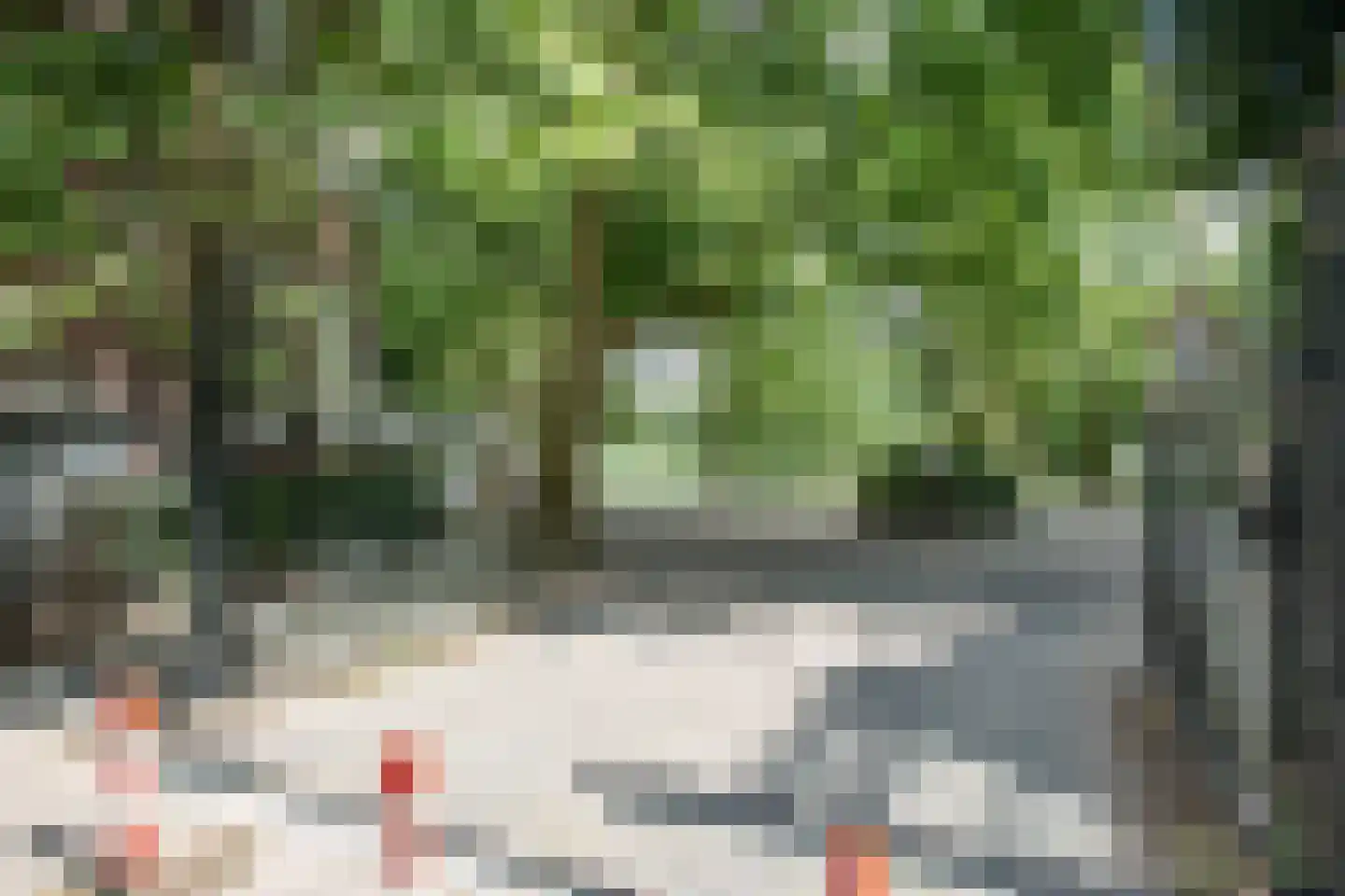 Groenendaalstraat 45 1 Amsterdam thumbnail 37