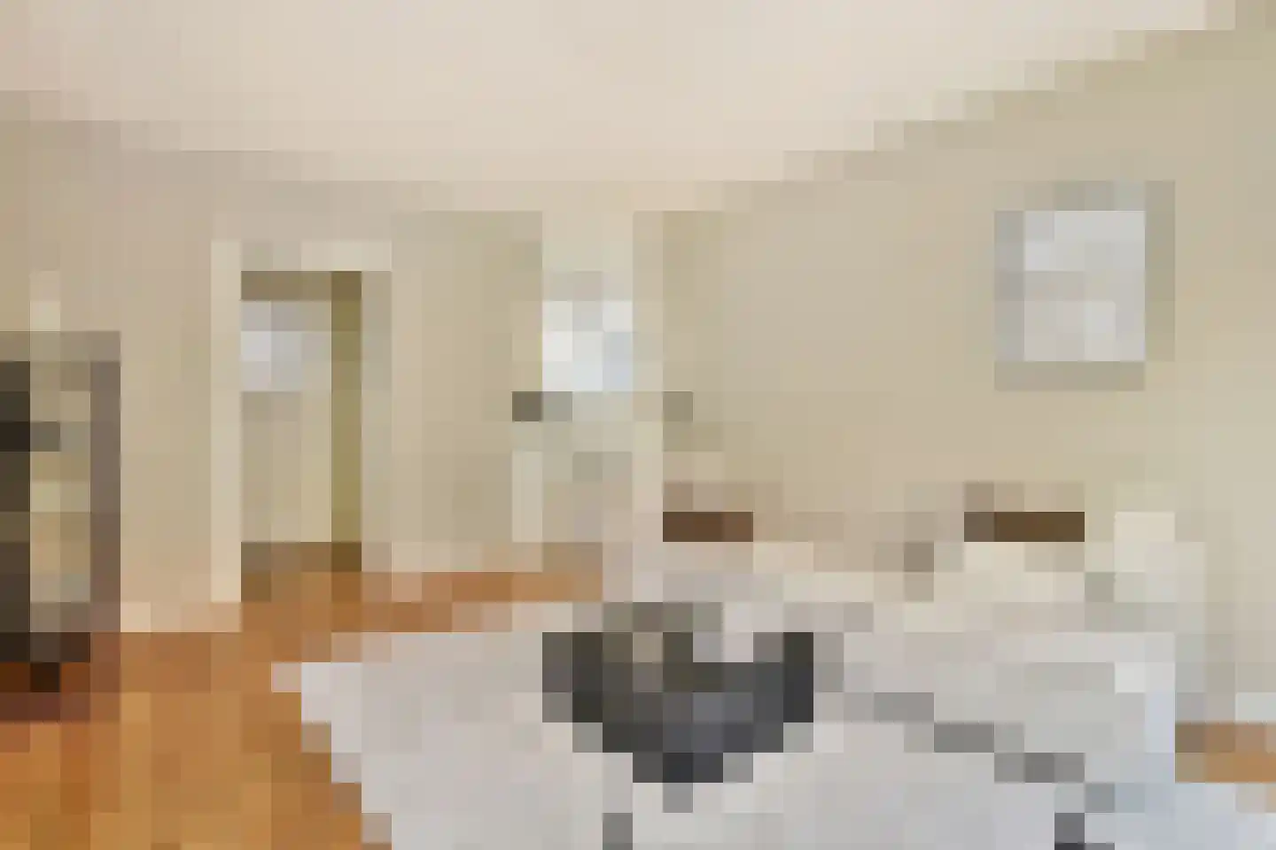 Groenendaalstraat 45 1 Amsterdam thumbnail 4
