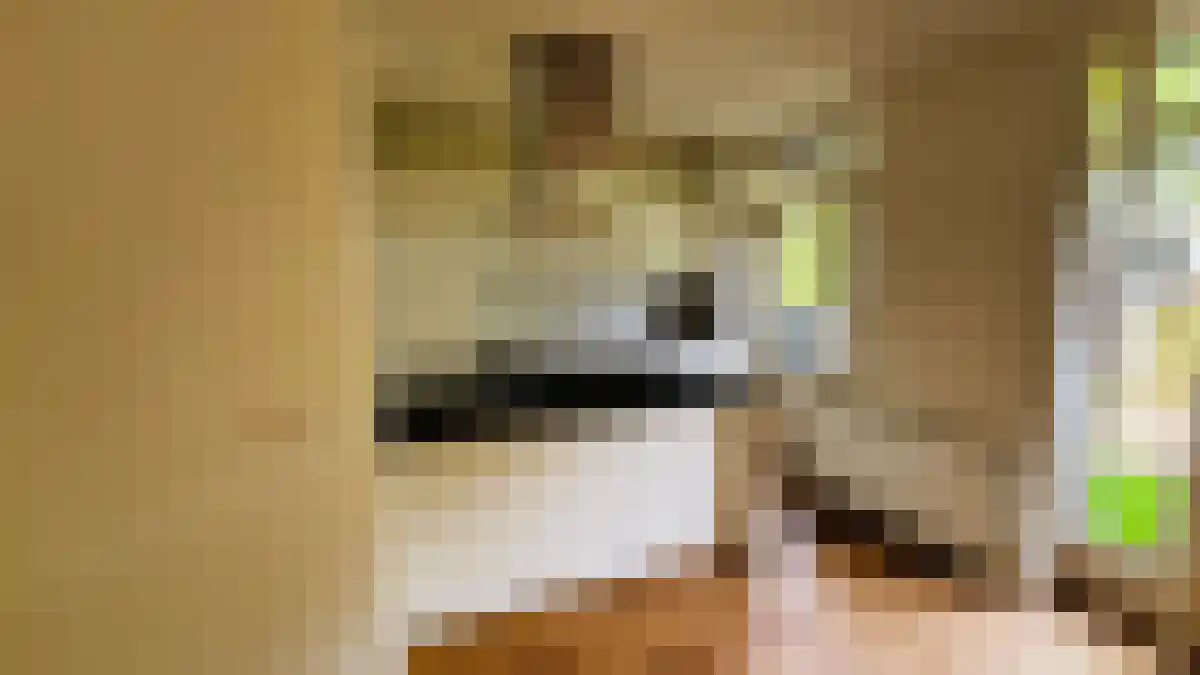 Groenendaalstraat 9 Amsterdam thumbnail 5
