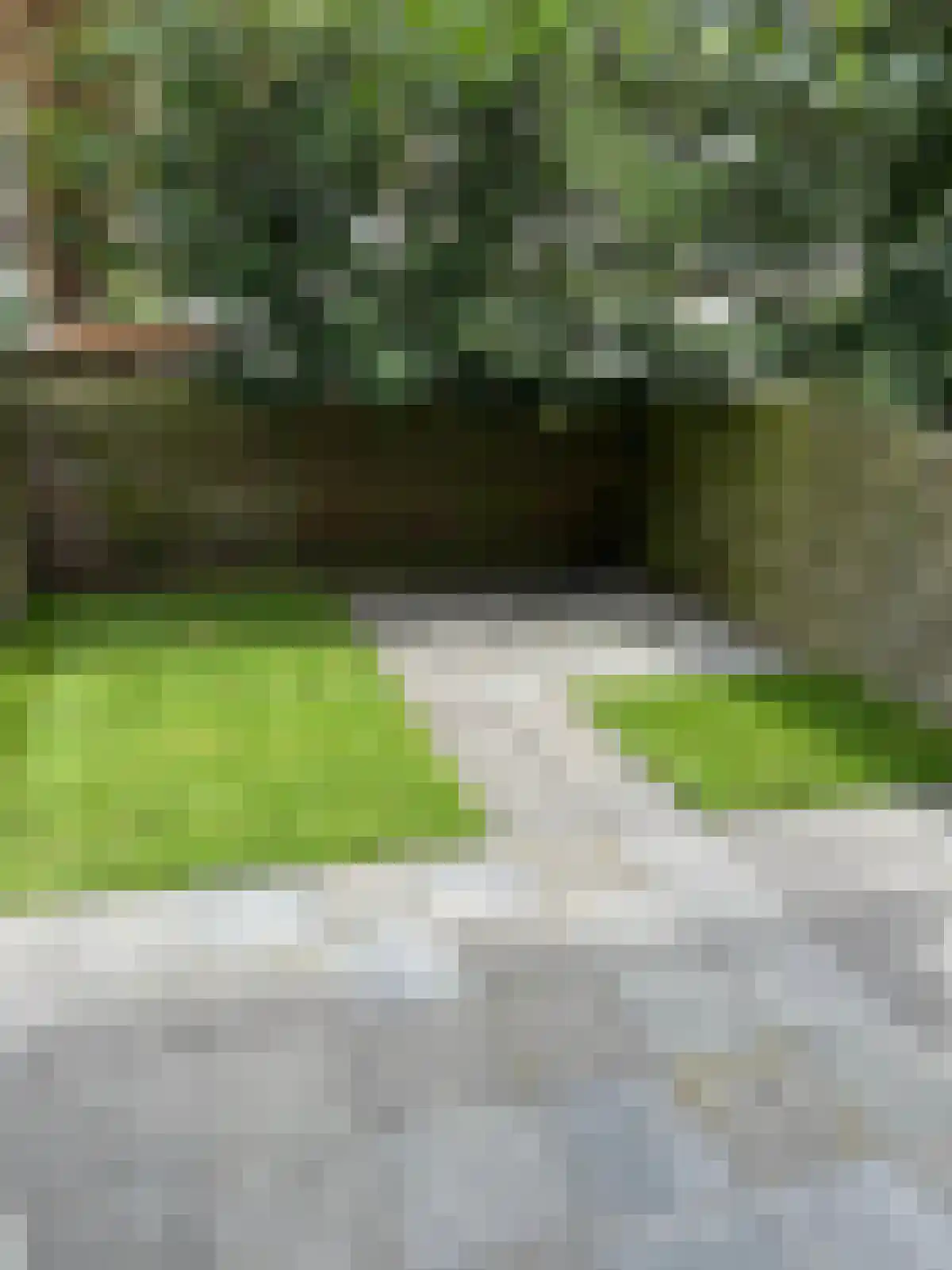 Groenendaalstraat 9 Amsterdam thumbnail 6