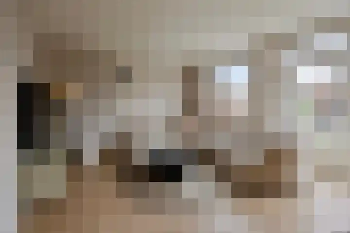 Groenendael 100 IJsselmuiden thumbnail 11