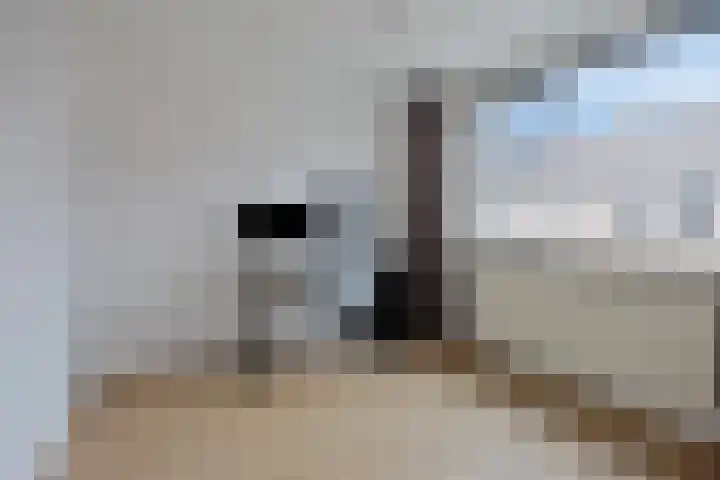 Groenendael 100 IJsselmuiden thumbnail 27