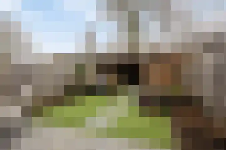 Groenendael 100 IJsselmuiden thumbnail 33