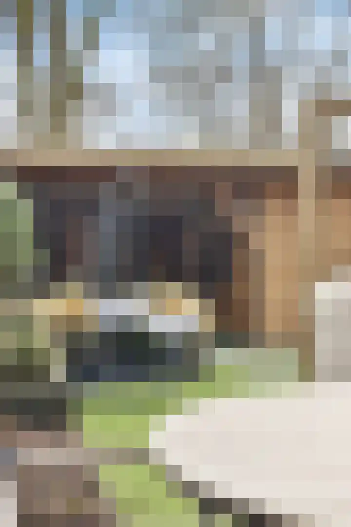 Groenendael 100 IJsselmuiden thumbnail 37