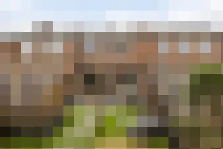 Groenendael 100 IJsselmuiden thumbnail 39