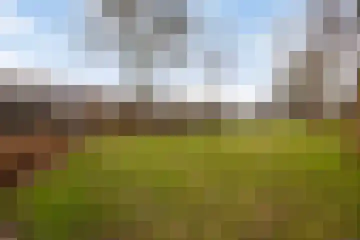 Groenendael 100 IJsselmuiden thumbnail 44