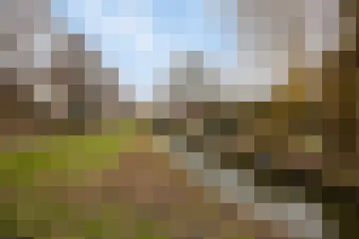 Groenendael 100 IJsselmuiden thumbnail 45