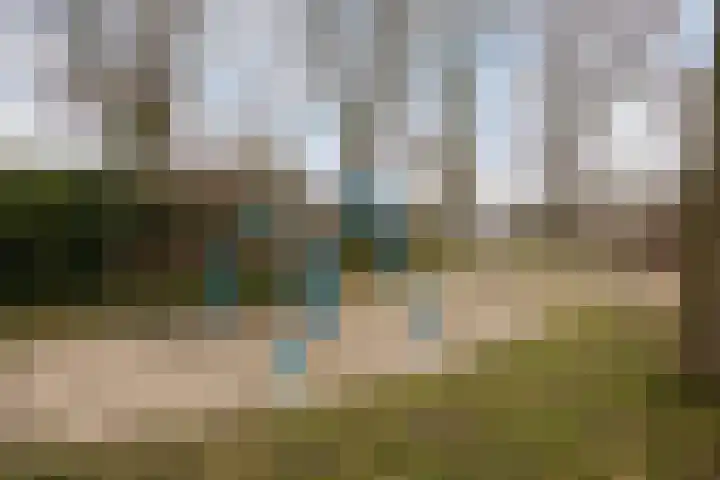Groenendael 100 IJsselmuiden thumbnail 46