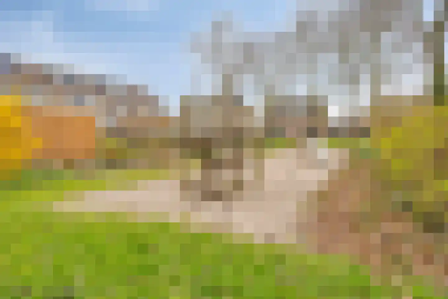 Groenendael 133 IJsselmuiden thumbnail 42
