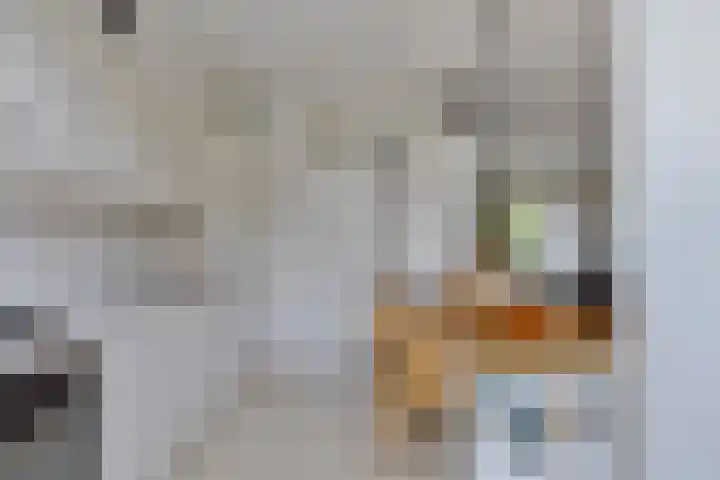 Groenendael 134 IJsselmuiden thumbnail 13