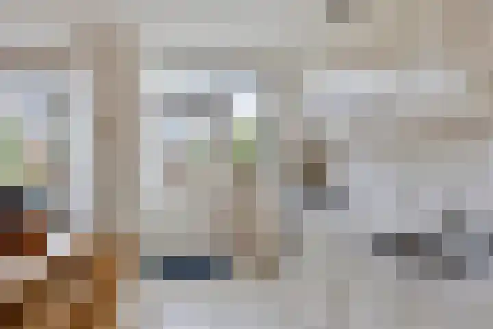 Groenendael 134 IJsselmuiden thumbnail 14