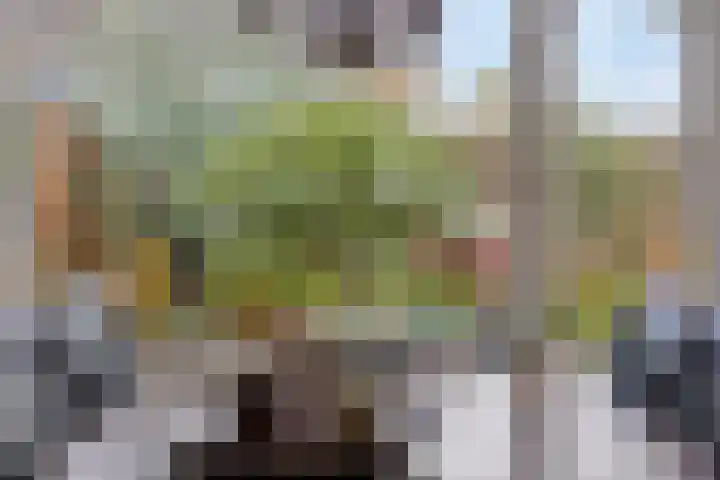Groenendael 134 IJsselmuiden thumbnail 17