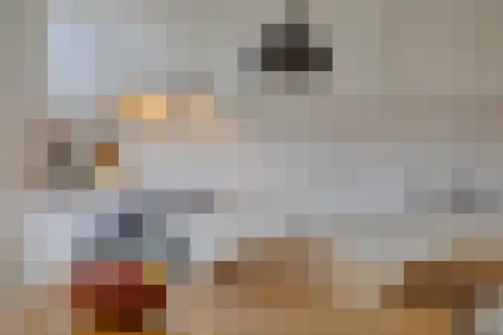 Groenendael 134 IJsselmuiden thumbnail 18