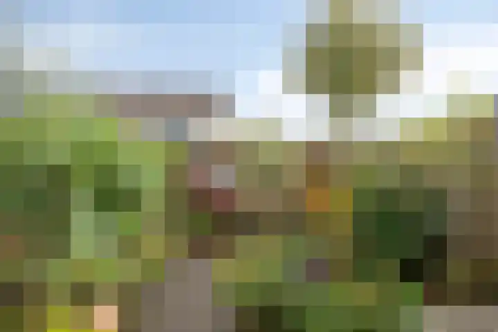 Groenendael 134 IJsselmuiden thumbnail 30